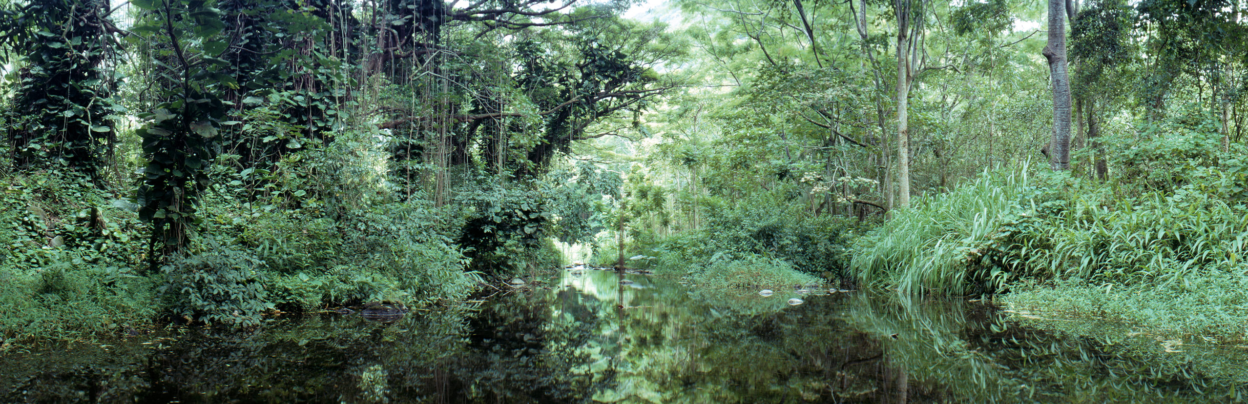 [Image: stream1.jpg]